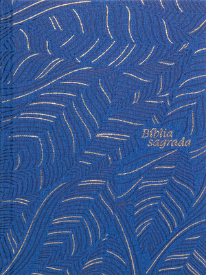 cover image of Bíblia Slim NVI, Letra Grande, Couro-soft azul sobre capa dura, Abstrata